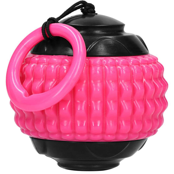 Dog Comets Blazar Jet Fetch Toy – Durable Rubber Ball, Vibrant Fuchsia Color