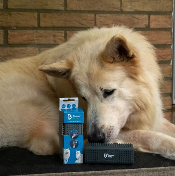 Proper Pets Hair Remover Brush – Four-Sided 12cm Rubber Tool, Versatile and Durable