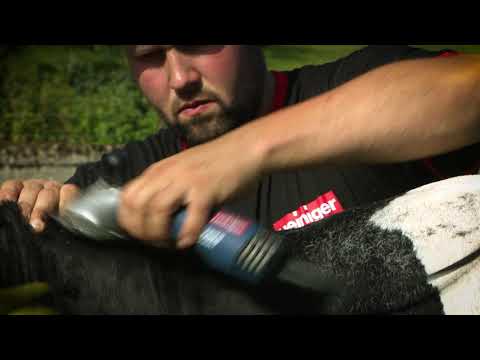 Heiniger Xperience 2-Speed 250W Clipper – Powerful Professional Grooming Tool with 21/23 Blade