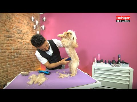 Heiniger Style Mini Trimmer – Professional Cordless Grooming Tool with Precision Blade