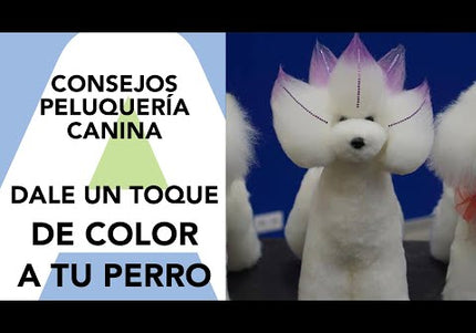 Artero Kit Make Up – Handy Mini Airbrush Coloring Kit with 12 Vibrant Colors