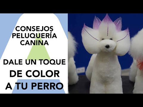 Artero Kit Make Up – Handy Mini Airbrush Coloring Kit with 12 Vibrant Colors