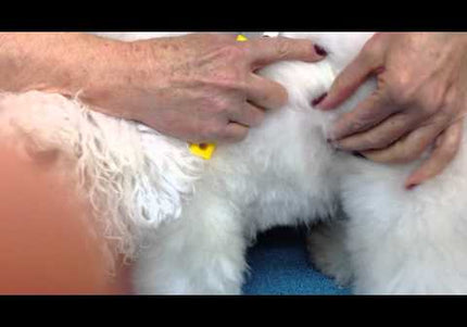 Mars Flexi King Soft Brush – Gentle Detangling Tool with Flexible Bristles for Matted Hair