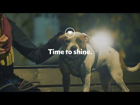 Hurtta Nordic LED Light – Waterproof Safety Lamp, Long-Lasting Battery, High Visibility