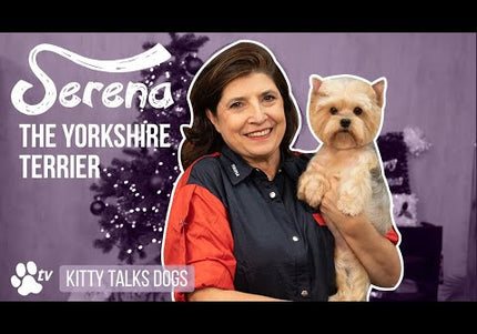 Yento Cobra Series 7" Curved Thinning Shears – Decorative Handle, 40 Teeth, Professional Grade