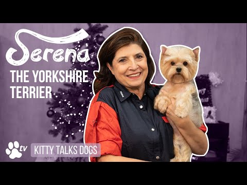 Yento Cobra Series 7" Curved Thinning Shears – Decorative Handle, 40 Teeth, Professional Grade