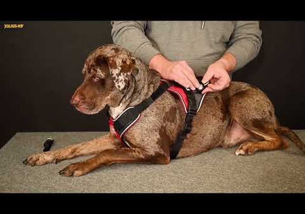 Julius-K9 LED Spot Clip-On Lamp – Compact Waterproof Light, Long-Lasting Battery