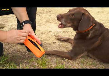 Julius-K9 Multidummie One Hand – Multifunctional Training Tug and Floating Water Toy