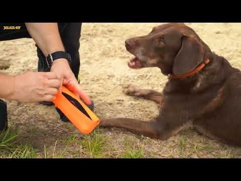 Julius-K9 Multidummie Double Hand – Multifunctional Tug and Water Toy, Durable Design