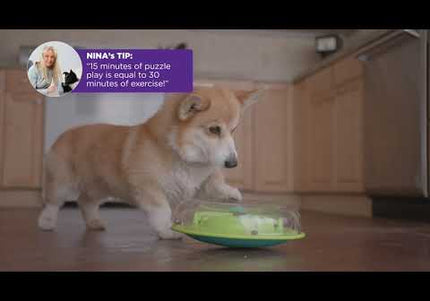 Nina Ottosson Wobble Bowl – Interactive Slow Feeder and Educational Puzzle, Level 1