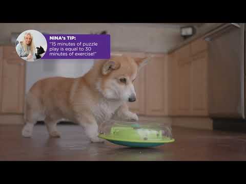 Nina Ottosson Wobble Bowl – Interactive Slow Feeder and Educational Puzzle, Level 1