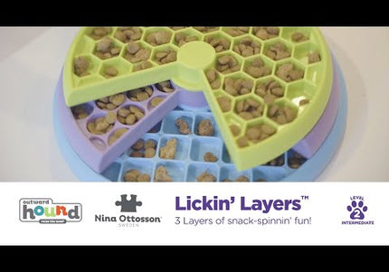 Nina Ottosson Lickin' Layers Puzzle Bowl – Interactive Slow Feeder with Educational Design, Level 2