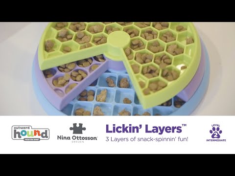 Nina Ottosson Lickin' Layers Puzzle Bowl – Interactive Slow Feeder with Educational Design, Level 2