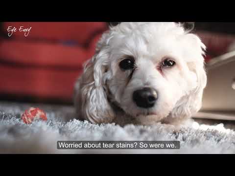 Eye Envy Tear Stain Remover Wipes – Gentle Cleansing Pads, 60 Pack, Fast-Acting Formula