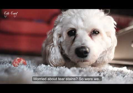 Eye Envy Tear Stain Remover Wipes – Gentle Cleansing Pads, 60 Pack, Fast-Acting Formula