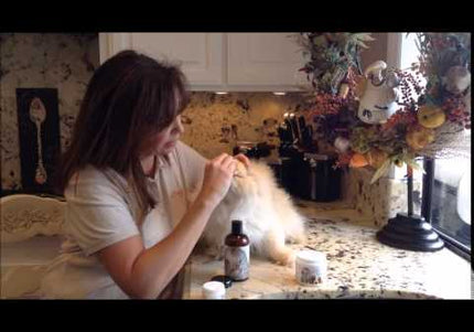 Eye Envy Cat Tear Stain Remover Starter Kit – Small Brush, Complete Cosmetic Set