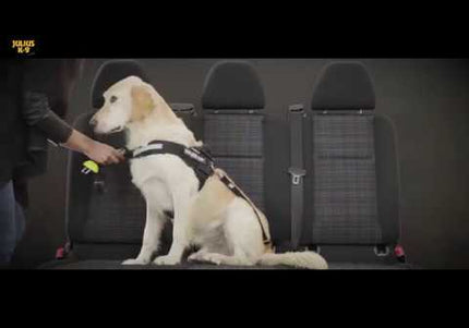 Julius-K9 StopDog Mobility Control Car Tether Leash – Adjustable Safety Restraint, Durable Nylon