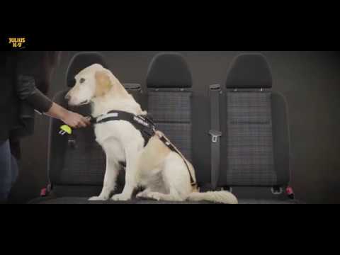 Julius-K9 StopDog Mobility Control Car Tether Leash – Adjustable Safety Restraint, Durable Nylon