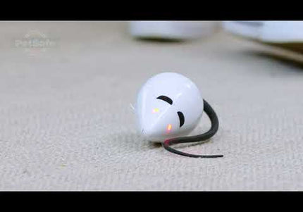 PetSafe RoloRat Automatic Cat Teaser – Interactive Rat Toy with Built-In Timer, Engaging Play