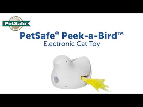 PetSafe Peek-A-Bird Electronic Cat Toy – Motion Sensor Bird with Feather, Interactive Play