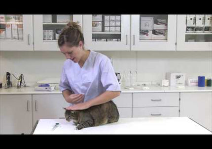 Kruuse Buster Tablet Introducer – Soft Tip Safety Applicator with Gentle Delivery Design