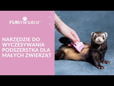 FURminator Small Animal Deshedding Tool – Ergonomic Handle with FURejector Button