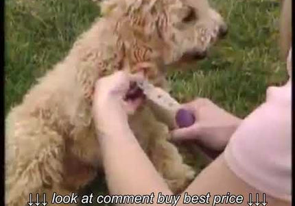 Miracle Care QuickFinder Nail Trimmer Blue – Sensor-Equipped, Safe Cutting Tool for Medium Breeds