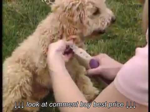 Miracle Care QuickFinder Nail Trimmer Blue – Sensor-Equipped, Safe Cutting Tool for Medium Breeds