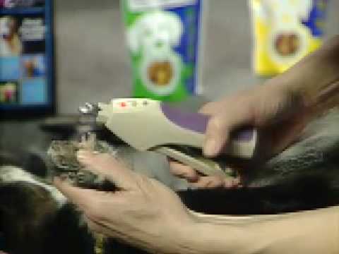 Miracle Care QuickFinder Nail Trimmer – Sensor-Activated Safety, Precision Cutting, Purple