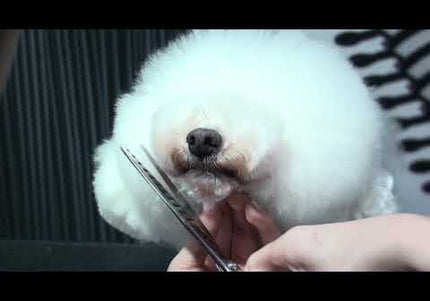 Artero Alp Chunkers 7.5" – Professional Single-Sided Thinning Shears, 16 Micro-Ground Japanese Steel Teeth