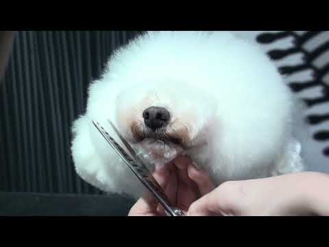 Artero Alp Chunkers 7.5" – Professional Single-Sided Thinning Shears, 16 Micro-Ground Japanese Steel Teeth