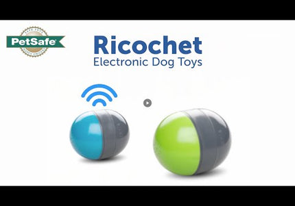 PetSafe Ricochet Electronic Dog Toy – Interactive Squeaking Balls, Engaging Play Design