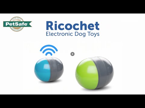 PetSafe Ricochet Electronic Dog Toy – Interactive Squeaking Balls, Engaging Play Design
