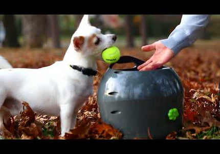 PetSafe Automatic Ball Launcher – Motion Sensor, Interactive Play Device for Pets