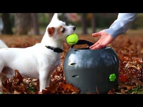 PetSafe Automatic Ball Launcher – Motion Sensor, Interactive Play Device for Pets