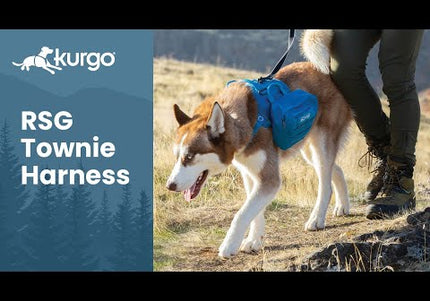 Kurgo RSG Pack Pannier – Blue Adjustable Dog Backpack with Secure Storage Pockets