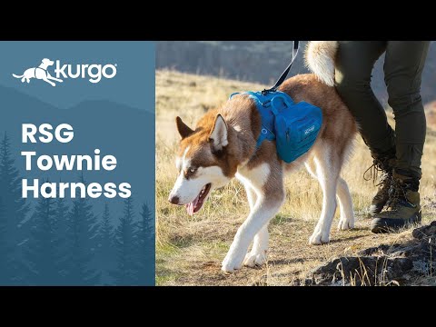 Kurgo RSG Pack Pannier – Blue Adjustable Dog Backpack with Secure Storage Pockets