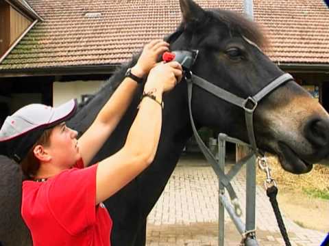 Heiniger Progress Horse and Cattle Clipper – Powerful 80W Professional Grooming Tool