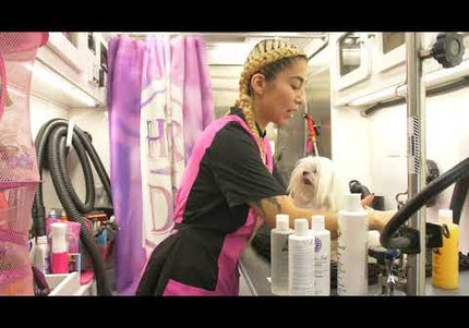 Les Poochs Purple Hard Pro Brush 4.5cm – Original Flexible Head, Hard Bristles