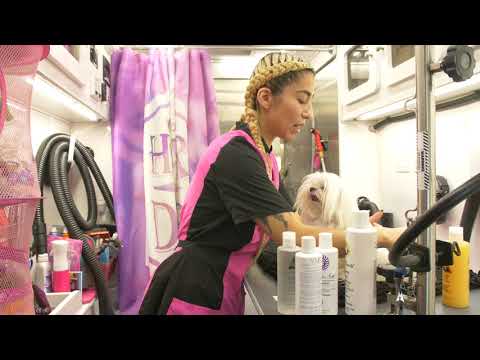 Les Poochs Purple Hard Pro Brush 4.5cm – Original Flexible Head, Hard Bristles