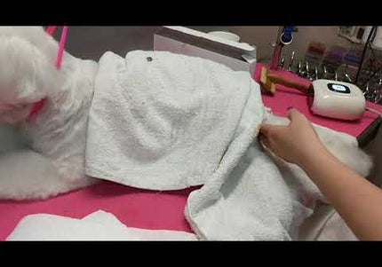 Groom Professional Creative Airbrush Kit – Precision Hair Coloring System with Adjustable Nozzle