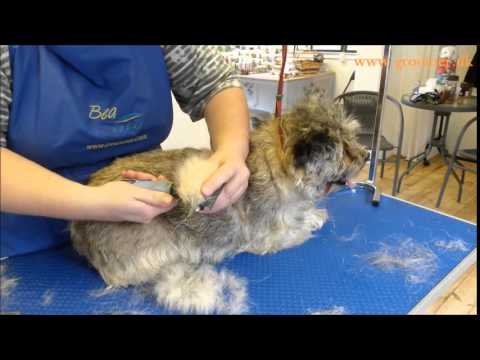 Danish Twin King 2-in-1 Hook Comb and Double Hook Trimmer – Versatile Grooming Tool