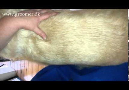 Danish Twin King 2-in-1 Hook Comb and Double Hook Trimmer – Versatile Grooming Tool