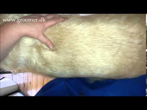 Danish Twin King 2-in-1 Hook Comb and Double Hook Trimmer – Versatile Grooming Tool