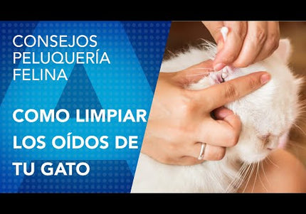 Artero Ears Cleaning Wipes – Gentle Cleansing Formula, 50 Pack, Hypoallergenic and Easy to Use