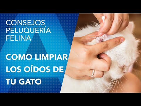 Artero Ears Cleaning Wipes – Gentle Cleansing Formula, 50 Pack, Hypoallergenic and Easy to Use