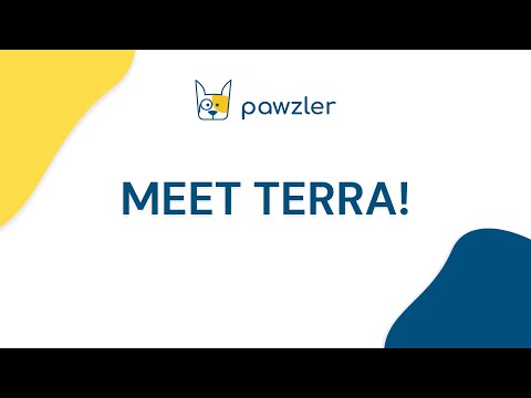 Pawzler Terra Dog Puzzle Module – Level 1 Bonus Block with Licking Mat, Engaging Design