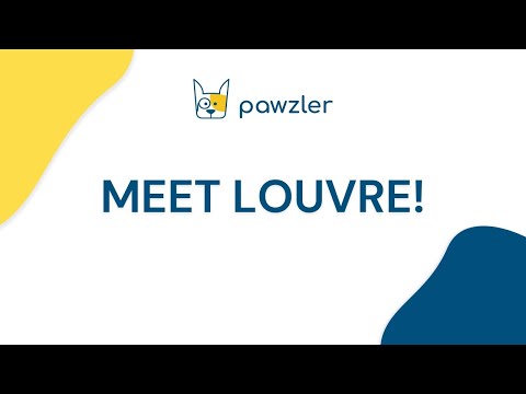 Pawzler Louvre Dog Puzzle Module – Level 3 Interactive Bonus Block, Durable Design