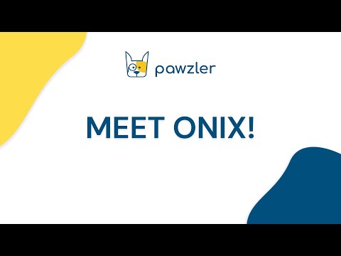 Pawzler Onix Dog Puzzle Module – Level 1 Interactive Extra Block, Durable Design