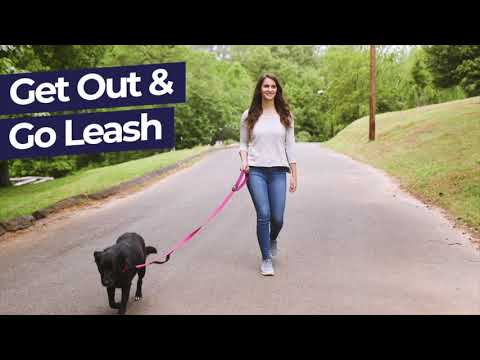 Hamilton Go Boldly Foldable Travel Bowl – Textile, Compact Design, Lightweight and Durable